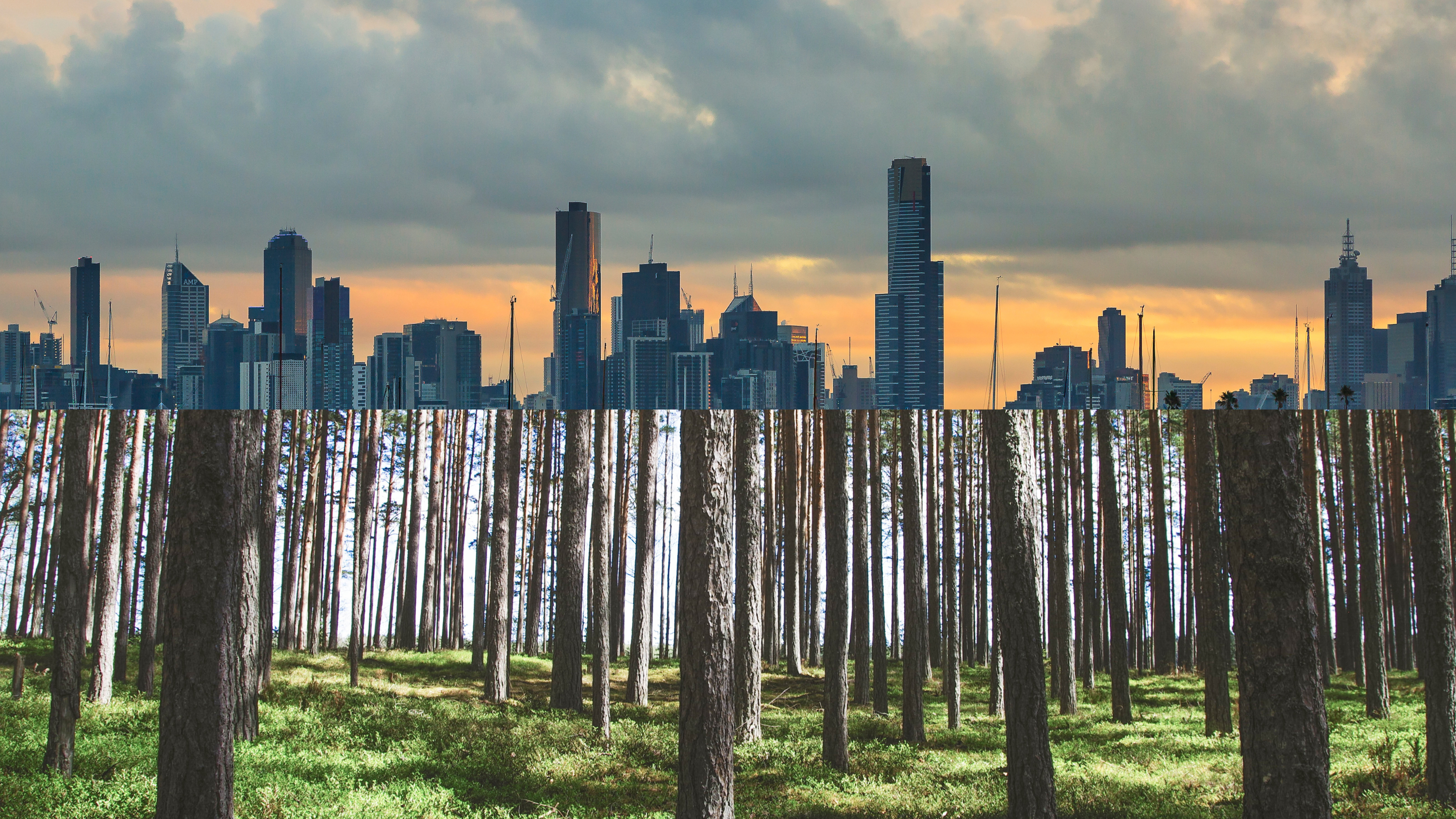 Solarpunk: Is This Science-Fiction Genre Inspiring Hope or Delusion?  