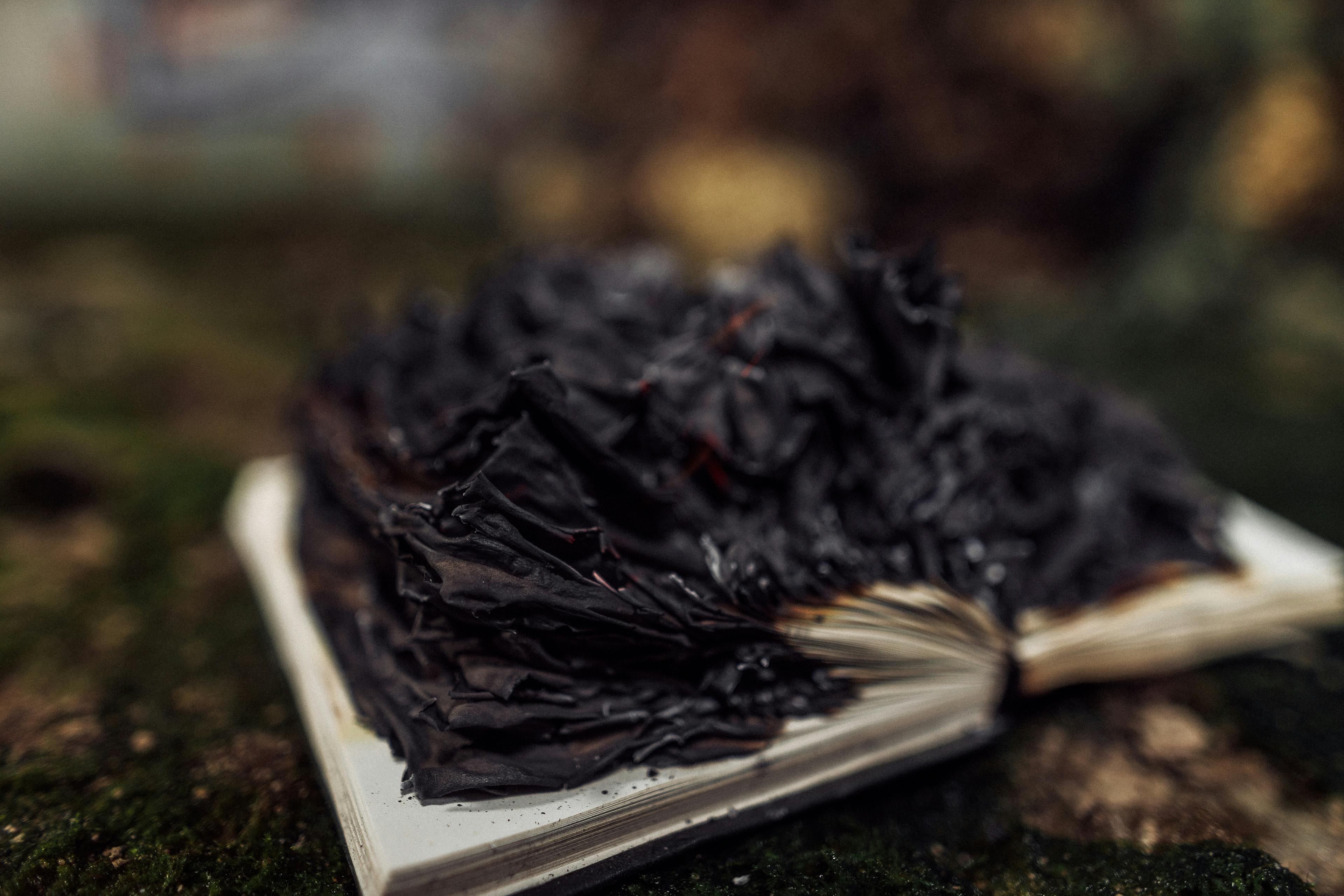 To Write a Memoir is to Burn: Who Keeps the Ash?